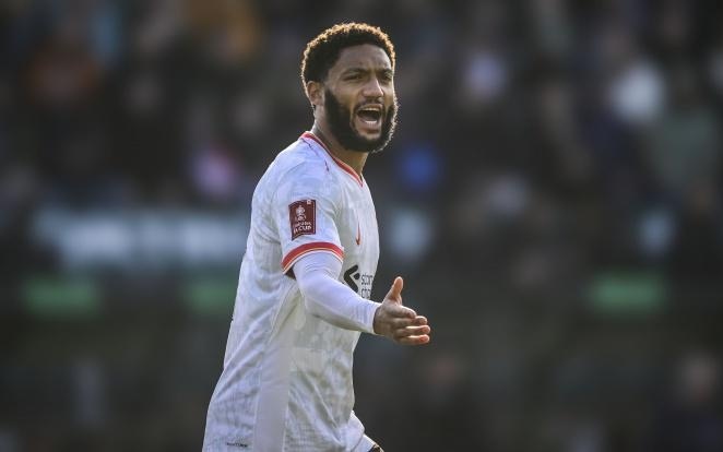 滕哈格的名 滕哈格的名