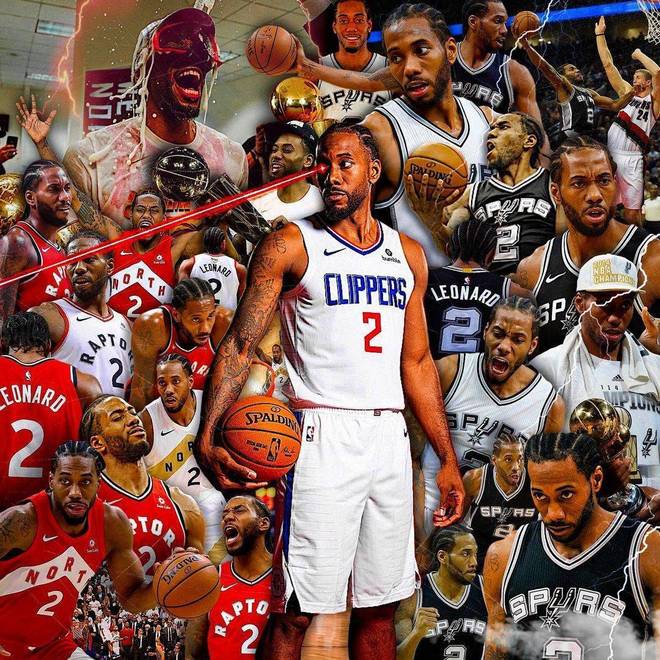 型的多样性 型的多样性