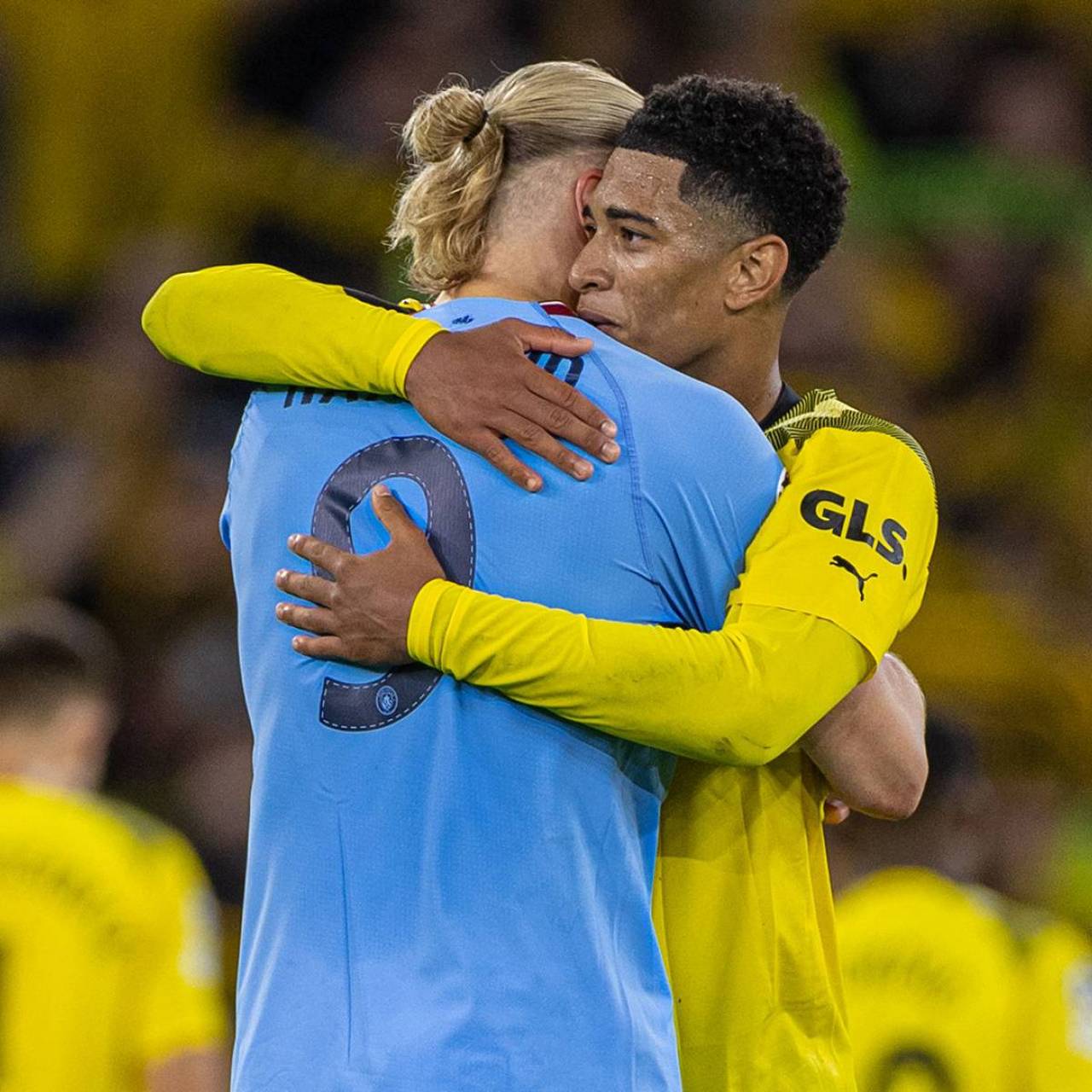 员会持续收 员会持续收